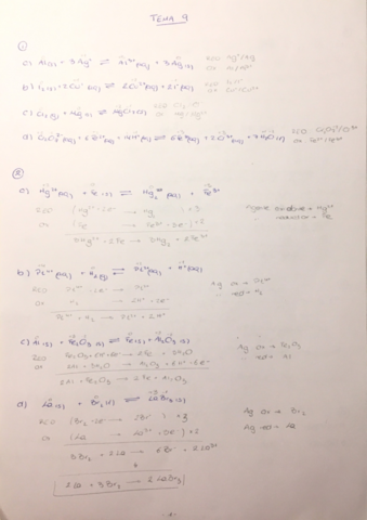 Tema-9-ejercicios-pq.pdf