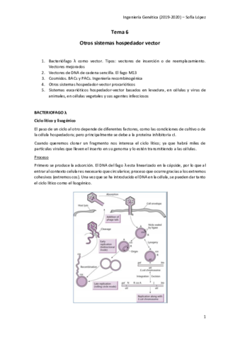 INGG-Tema-6.pdf