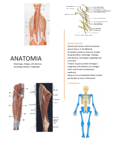 Anatomia M2 Part 1.pdf