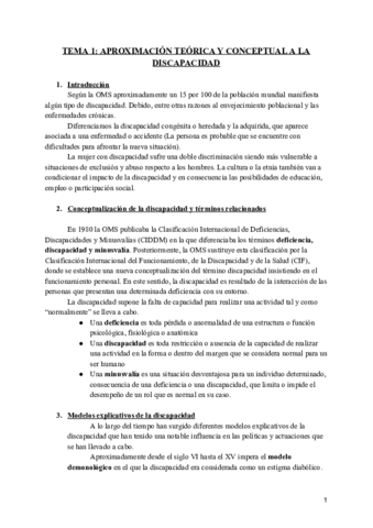 Resumenes-Capacidades-diversas.pdf