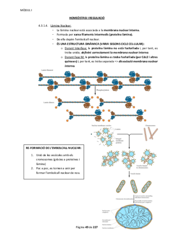 Apunts Mòdul 1 Part 2.pdf
