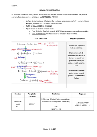 Apunts Mòdul 1 Part 3.pdf
