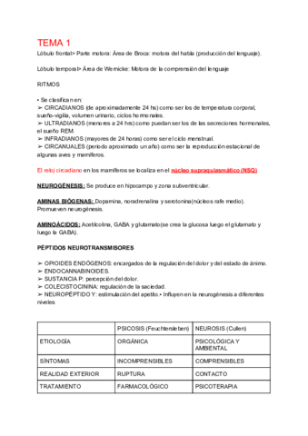 COSAS-SALUD-MENTAL.pdf