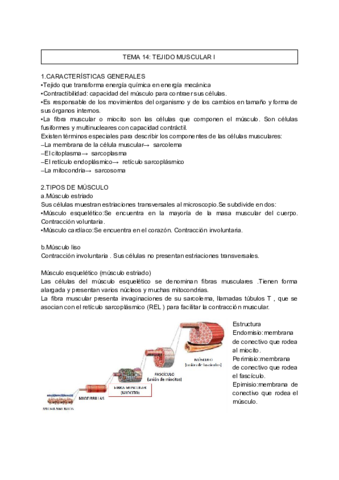 Tema-14-bio-celular.pdf