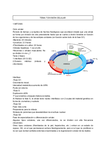Tema-7-bio-celular.pdf