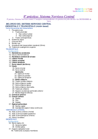 P8-Numerado-y-esquematizado.pdf