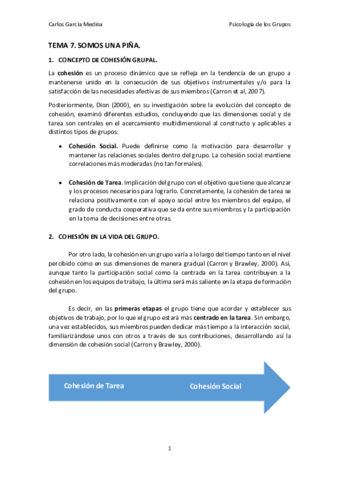 TEMA7_SomosUnaPiña.pdf