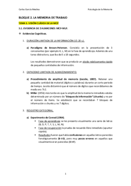 BQ2_LaMemoriadeTrabajo.pdf