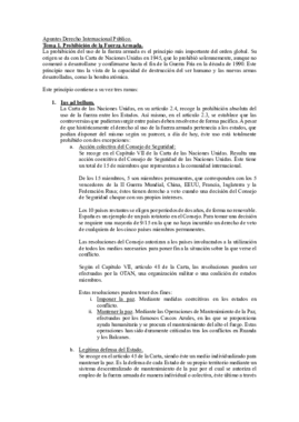 Apuntes Derecho Internacional Público.pdf