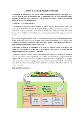 TEMA-7.pdf