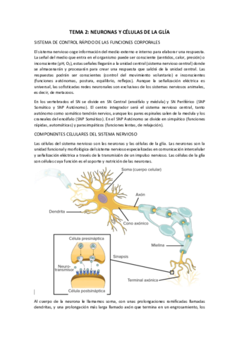 TEMA-2.pdf