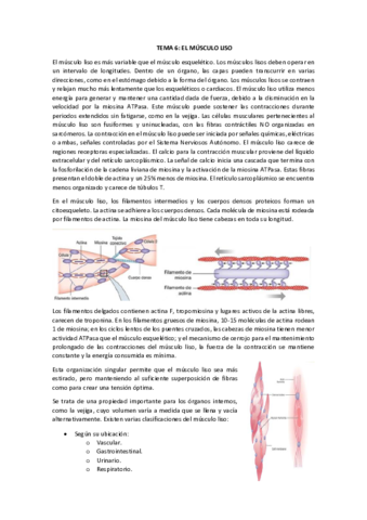 TEMA-6.pdf