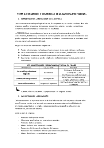 TEMA-6.pdf