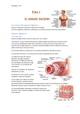 Fisiologia-Tema 8.pdf