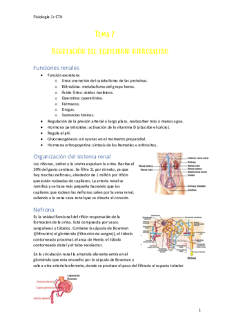 Fisiologia-Tema 7.pdf