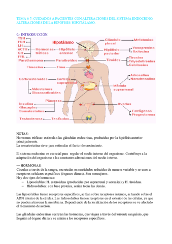 TEMA 6-7 CLINICA.pdf