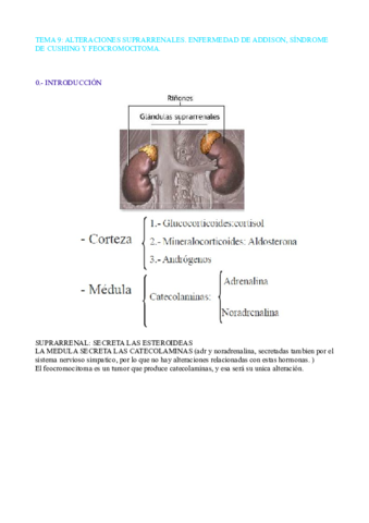 TEMA 9 CLINICA.pdf