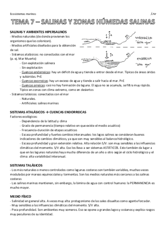 EMtema7Salinas.pdf
