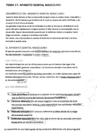 TEMA 17 - Aparato Genital Masculino.pdf