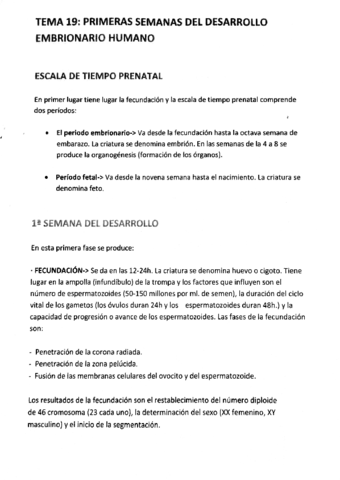 TEMA 19 - Primeras Semanas del Desarrollo Embrionario Humano.pdf