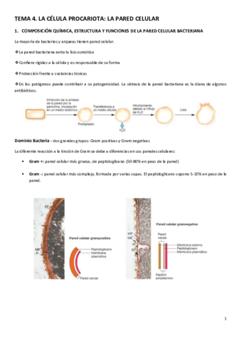 TEMA-4.pdf