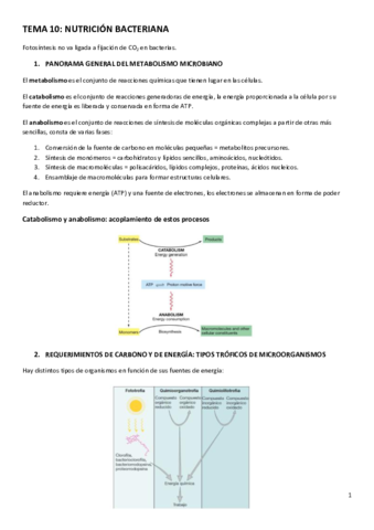 TEMA-10.pdf