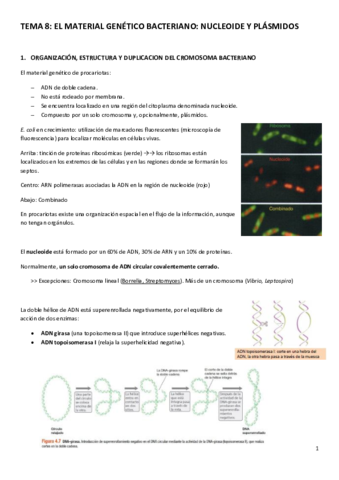 TEMA-8.pdf