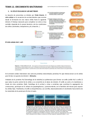 TEMA-12.pdf