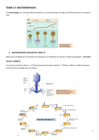 TEMA-17.pdf