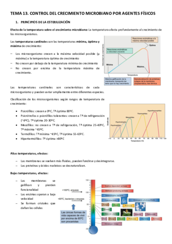 TEMA-13.pdf