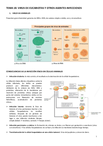 TEMA-18.pdf