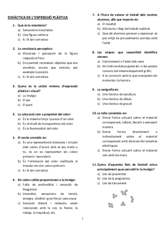 Examen-plastica.pdf