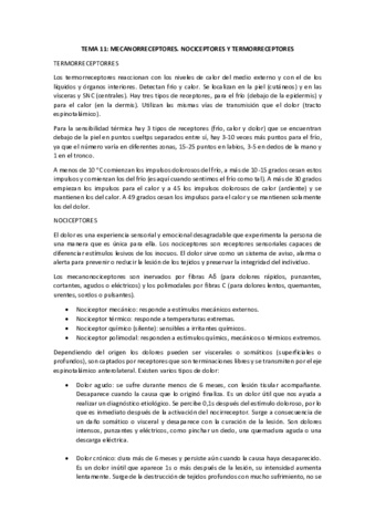 TEMA-11.pdf