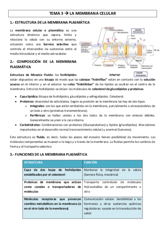 TEMA-3-membrana-celular.pdf