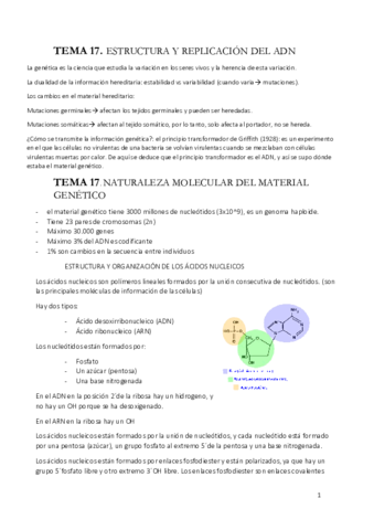 genetica.pdf