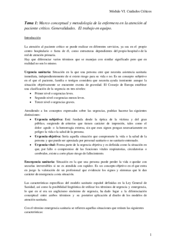 Cuidados-criticos.pdf