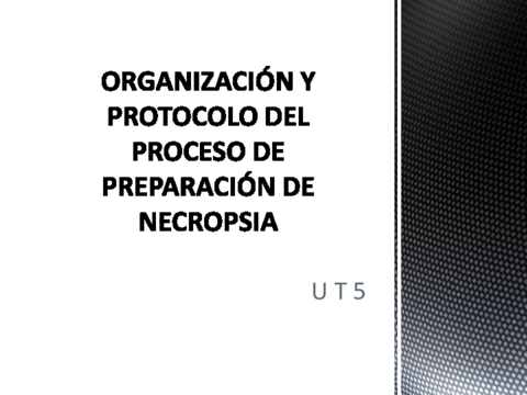 U-T-5-ORGANIZACION-Y-PROTOCOLO-DEL-PROCESO-DE-PREPARACION-DE.pdf