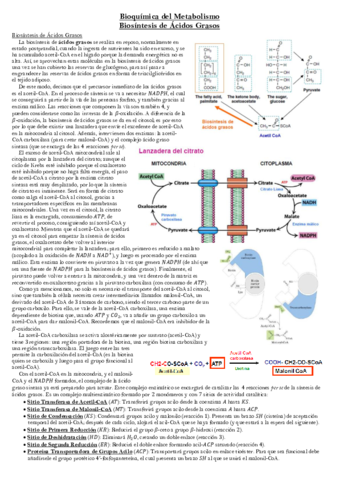 Biosintesis-de-Acidos-Grasos.pdf