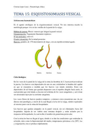 Miniatura del documento TEMA 15 PARA.pdf