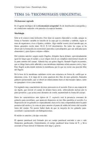 Miniatura del documento TEMA 16 PARA.pdf