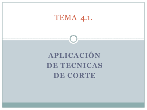 TEMA-4.pdf