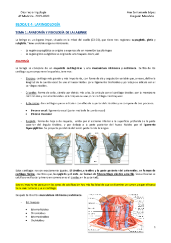Bloque-4-Laringologia.pdf