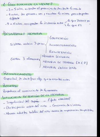 Psicologia-del-desarrolo-de-0-a-6-anos038.jpg