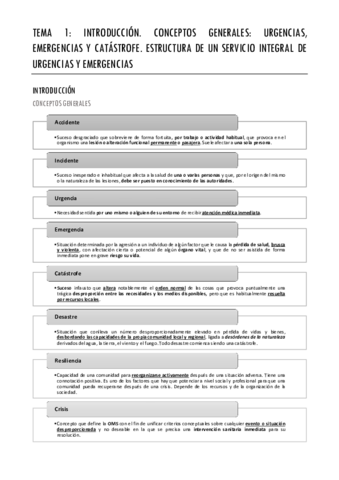 AMV-COMPLETO.pdf