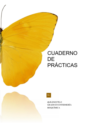 CUADERNO-DE-PRACTICAS-B-.pdf