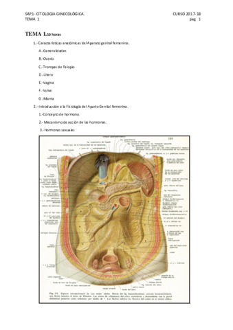 TEMA-1-ANATOMOFISIOLOGIA-DEL-AGF.pdf