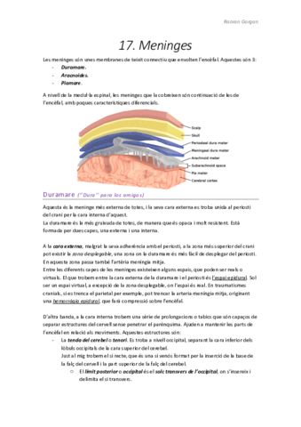 T17.pdf