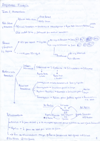 Fisiologia-AnaQuintero-1-58.pdf