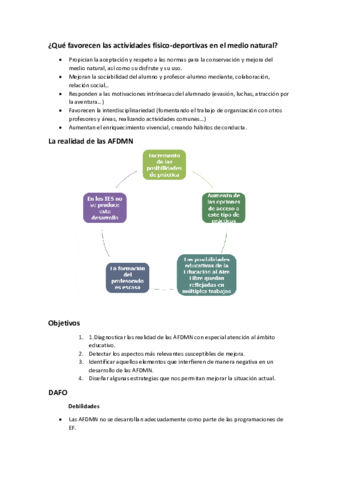 DAFO-AFMN-resumen.pdf