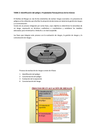 TEMA-2.pdf